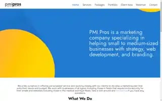 Pmipros.com Screenshot 2024-06-13 03:08:09