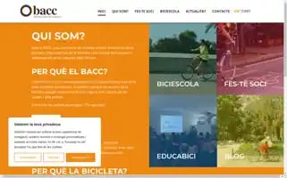 Bacc.cat Screenshot 2024-06-12 03:06:49