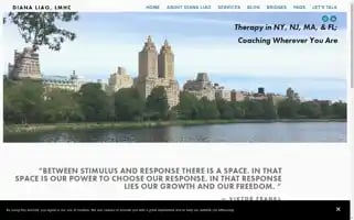 Dianaliao.com Screenshot 2024-07-02 10:28:53