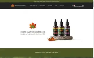 Nekhemp.com Screenshot 2024-06-12 14:51:51