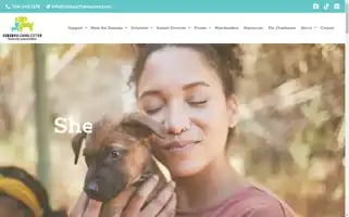 Adoptcharleston.com Screenshot 2024-07-01 11:31:05