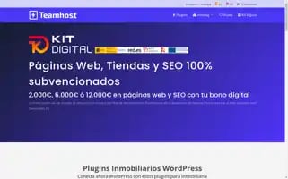 Teamhost.io Screenshot 2024-05-23 18:42:33
