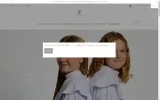 Zoehoopjewelry.com Screenshot 2024-05-05 16:46:17