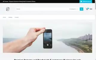 247brands.co.uk Screenshot 2024-05-04 01:39:56