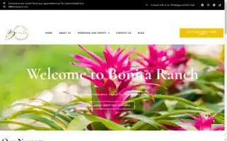 Bonitaranch.com Screenshot 2024-05-23 17:54:14