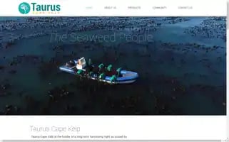 Tcck.co.za Screenshot 2024-06-30 13:18:03