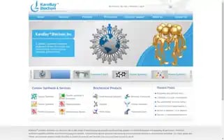 Karebaybio.com Screenshot 2024-06-17 06:18:55