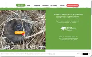 Wriwildlifehospital.ie Screenshot 2024-06-30 17:11:26