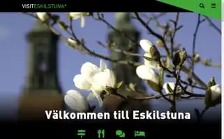 Visiteskilstuna.se Screenshot 2024-06-17 12:48:26