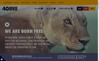 Bornfree.org.uk Screenshot 2024-05-06 01:54:20
