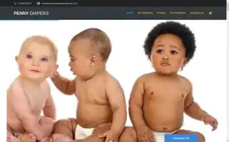 Pennydiapers.com Screenshot 2024-06-13 17:22:53