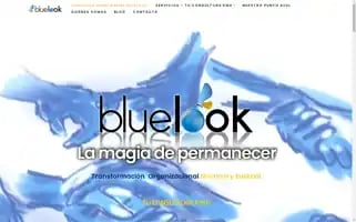 Bluelook.es Screenshot 2024-05-15 14:49:51