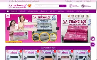 Congtynemthangloi.com Screenshot 2024-06-18 15:45:44