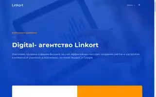 Linkort.ru Screenshot 2024-06-16 06:09:05
