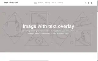 Tate-furniture-dev.myshopify.com Screenshot 2024-06-13 23:48:13