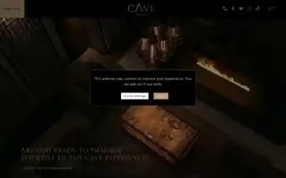 Cavehotels.com Screenshot 2024-04-16 05:38:57