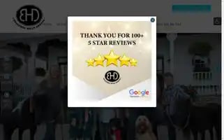 Bulverdehillsdental.com Screenshot 2024-06-14 00:01:42