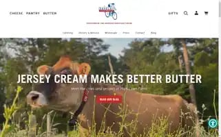 Saxelbycheese.com Screenshot 2024-05-04 13:57:15