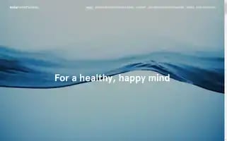 Entermindfulness.com Screenshot 2024-07-01 19:59:10