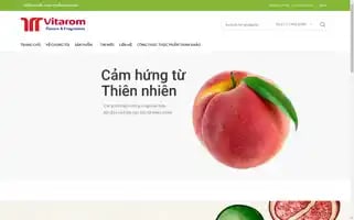 Vitarom.vn Screenshot 2024-06-28 03:13:21