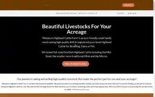 Minihighlandercows.shop Screenshot 2024-05-28 20:16:18