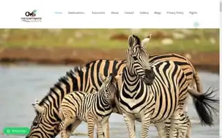 Chetumotomotosafaris.com Screenshot 2024-05-27 18:10:08