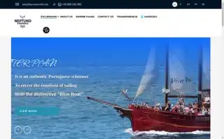 Barcostenerife.com Screenshot 2024-06-17 23:38:08