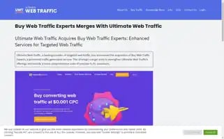 Buywebtrafficexperts.com Screenshot 2024-07-06 10:53:03