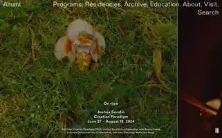 Amant.org Screenshot 2024-07-04 14:43:04