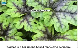 Dogcatmarketing.com Screenshot 2024-06-14 10:22:59