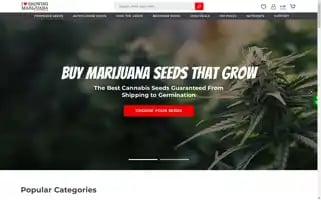 Ilgm.com Screenshot 2024-06-18 20:09:57