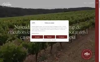 Covides.com Screenshot 2024-06-15 02:26:49