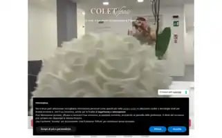 Coletsposi.com Screenshot 2024-05-20 20:38:15