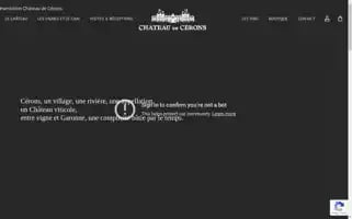 Chateaudecerons.fr Screenshot 2024-06-11 06:29:34