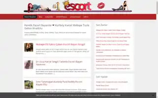 Maltepeokul.com Screenshot 2024-06-26 12:07:19