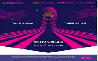 Seospecai.lt Screenshot 2024-06-14 14:03:10