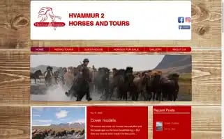 Horsesandtours.com Screenshot 2024-04-22 19:53:08