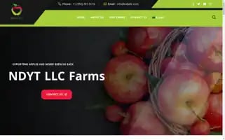 Ndytllc.com Screenshot 2024-05-26 00:05:03