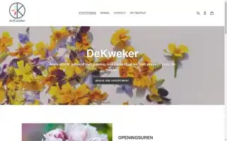 Dekweker.be Screenshot 2024-06-16 13:31:24
