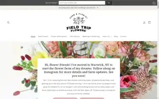 Fieldtripflowers.com Screenshot 2024-04-25 16:51:15