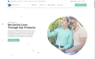 Brydenpi.com Screenshot 2024-06-17 15:01:58