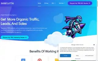 Seoturtle.co Screenshot 2024-07-07 05:51:32