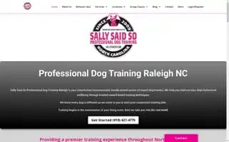 Sallysaidso.com Screenshot 2024-06-13 18:05:54