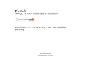 Pib.ac.id Screenshot 2024-06-30 08:45:48