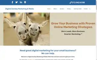 Digitaldonkeymarketing.com Screenshot 2024-06-12 22:56:37