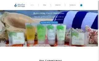 Bluefirehotelsupply.com Screenshot 2024-04-17 16:33:49