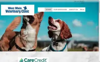 Westmainvetclinic.com Screenshot 2024-07-04 15:43:54