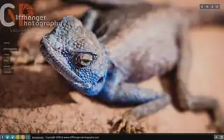 Cliffhanger-photography.com Screenshot 2024-07-02 04:50:52