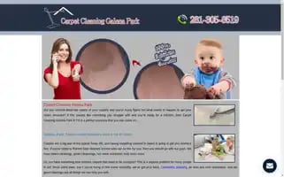Carpetcleaninggalenapark.com Screenshot 2024-07-06 03:34:48
