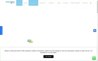 Intelligenzait.com Screenshot 2024-06-17 03:34:48